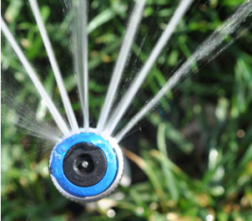 Our Westminster Colorado Sprinkler Repair team adjusts individual pop up sprinkler heads