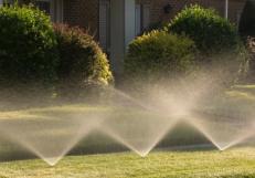 pop up heads replaced by our Westminster sprinkler repair team