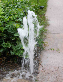 Our Berkley Sprinkler Repair team fixes pop up heads