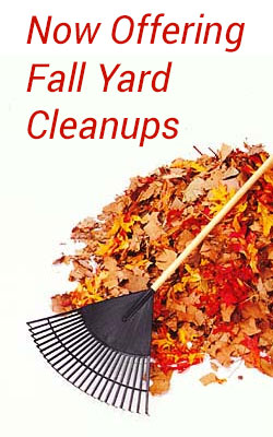 now offering fall yard cleanups